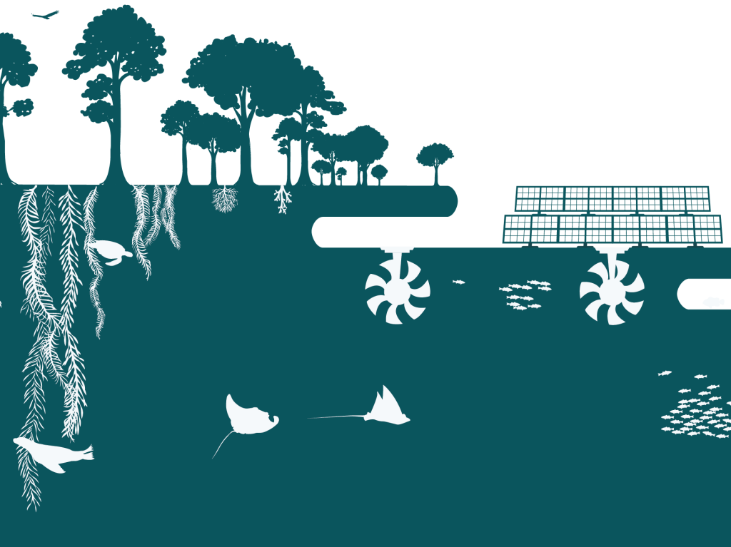 Forest, fish, kelp and natural carbon sinks with tidal turbines and solar panels