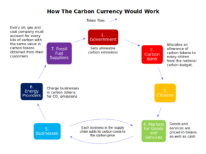 The flow of carbon tokens through the economy creates a carbon currency