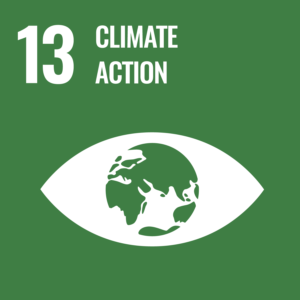 Sustainable Development Goals #13