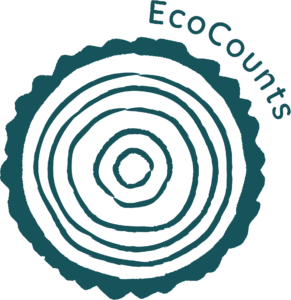 The EcoCounts logo, teal colour