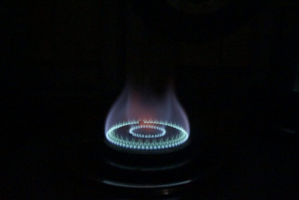 Strong Carbon Pricing Ecocore